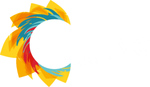 The Feeling Zone with Dany Griffiths